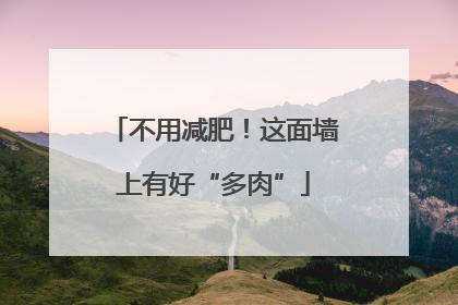 不用减肥！这面墙上有好“多肉”