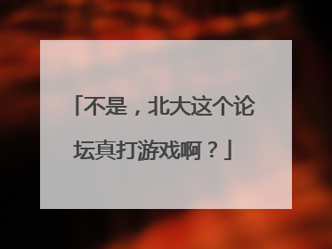 不是，北大这个论坛真打游戏啊？