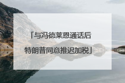 与冯德莱恩通话后 特朗普同意推迟加税