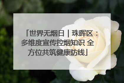 世界无烟日｜珠晖区：多维度宣传控烟知识 全方位共筑健康防线