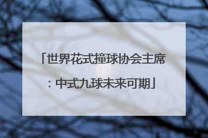 世界花式撞球协会主席：中式九球未来可期
