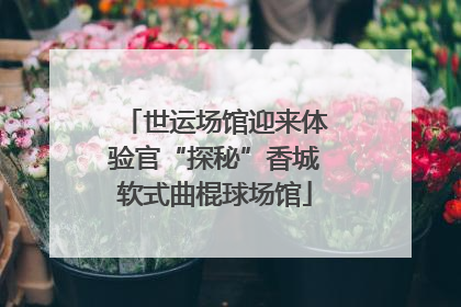 世运场馆迎来体验官“探秘”香城软式曲棍球场馆