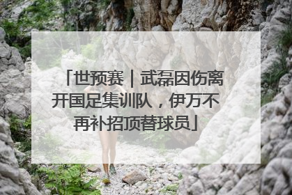 世预赛｜武磊因伤离开国足集训队，伊万不再补招顶替球员