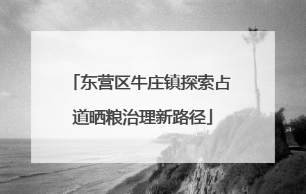 东营区牛庄镇探索占道晒粮治理新路径