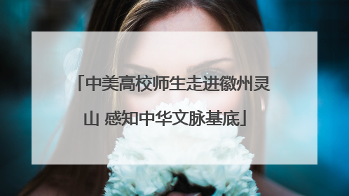中美高校师生走进徽州灵山 感知中华文脉基底