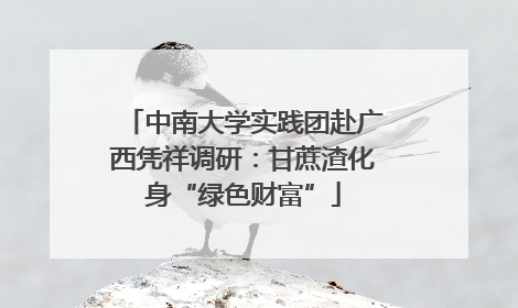 中南大学实践团赴广西凭祥调研：甘蔗渣化身“绿色财富”