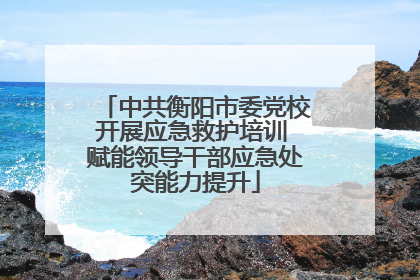 中共衡阳市委党校开展应急救护培训 赋能领导干部应急处突能力提升