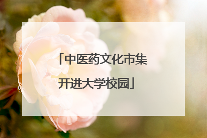 中医药文化市集开进大学校园