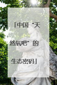 中国“天然氧吧”的生态密码