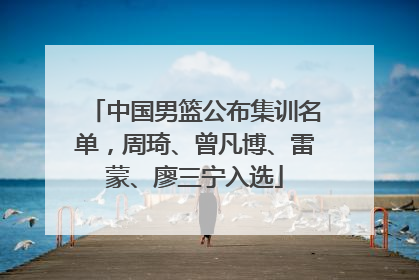 中国男篮公布集训名单，周琦、曾凡博、雷蒙、廖三宁入选