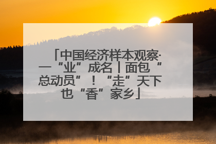 中国经济样本观察·一“业”成名丨面包“总动员”！“走”天下也“香”家乡