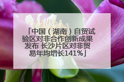 中国（湖南）自贸试验区对非合作创新成果发布 长沙片区对非贸易年均增长141%
