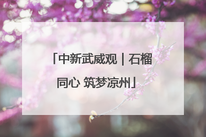 中新武威观｜石榴同心 筑梦凉州