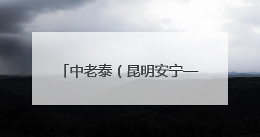 中老泰（昆明安宁—泰国拉廊）铁公海联运国际货运列车发车