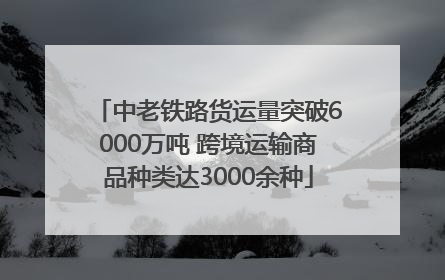 中老铁路货运量突破6000万吨 跨境运输商品种类达3000余种