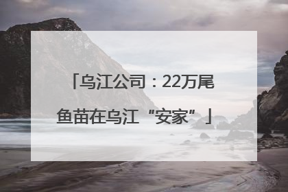 乌江公司：22万尾鱼苗在乌江“安家”