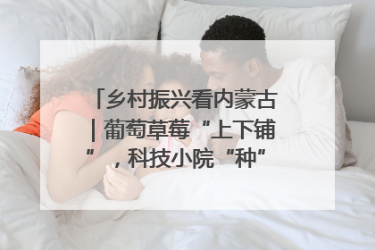 乡村振兴看内蒙古｜葡萄草莓“上下铺”，科技小院“种”出三倍效益