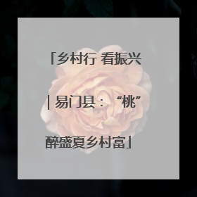 乡村行 看振兴｜易门县：“桃”醉盛夏乡村富