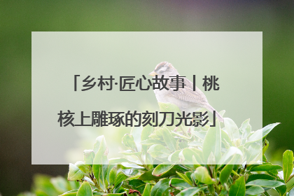 乡村·匠心故事丨桃核上雕琢的刻刀光影