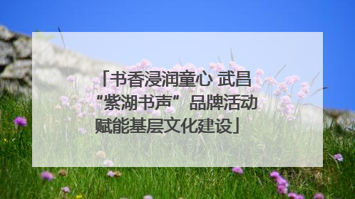 书香浸润童心 武昌“紫湖书声”品牌活动赋能基层文化建设