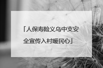 人保寿险义乌中支安全宣传入村暖民心