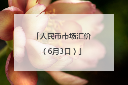 人民币市场汇价（6月3日）