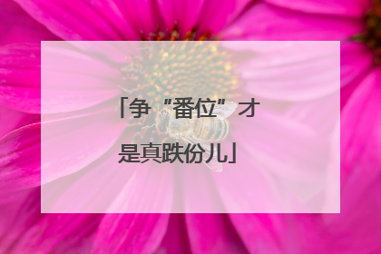 争“番位”才是真跌份儿