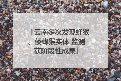 云南多次发现蜂猴、倭蜂猴实体 监测获阶段性成果