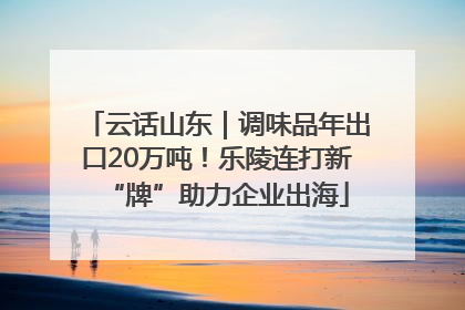 云话山东｜调味品年出口20万吨！乐陵连打新“牌”助力企业出海