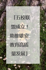 五校联盟成立！助推雄安教育高质量发展