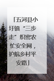 五河县小圩镇“三步走”织密农忙安全网，护航乡村平安路