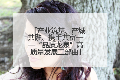 产业筑基、产城共融、携手共富——“品质龙泉”高质量发展三部曲