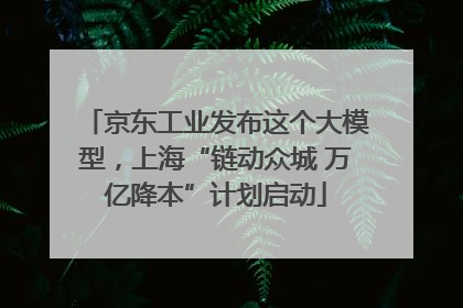 京东工业发布这个大模型，上海“链动众城 万亿降本”计划启动