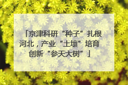 京津科研“种子”扎根河北，产业“土壤”培育创新“参天大树”