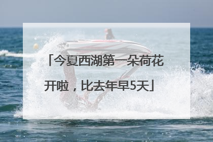 今夏西湖第一朵荷花开啦，比去年早5天