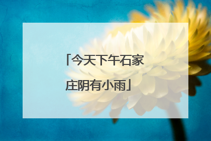 今天下午石家庄阴有小雨