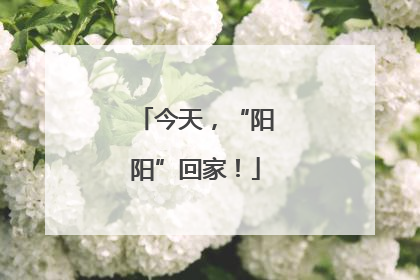 今天，“阳阳”回家！