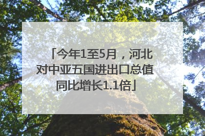 今年1至5月，河北对中亚五国进出口总值同比增长1.1倍