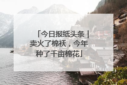 今日报纸头条｜卖火了棉袄，今年种了千亩棉花