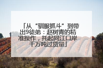 从“驯服抓斗”到带出9徒弟：赵树青的精准操作，托起同江口岸千万吨过货量