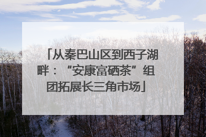从秦巴山区到西子湖畔：“安康富硒茶”组团拓展长三角市场