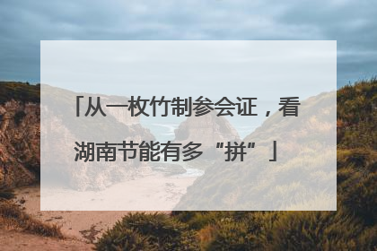 从一枚竹制参会证，看湖南节能有多“拼”