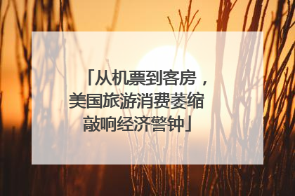 从机票到客房，美国旅游消费萎缩敲响经济警钟