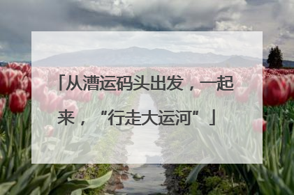 从漕运码头出发，一起来，“行走大运河”