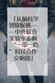 从脑科学到猕猴桃——中外联合实验室奏响“一带一路”科技合作交响曲