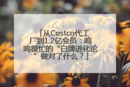 从Costco代工厂到1.2亿会员：鸣鸣很忙的“白牌进化论”做对了什么？