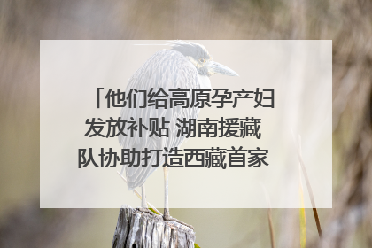 他们给高原孕产妇发放补贴 湖南援藏队协助打造西藏首家高原产儿协同中心