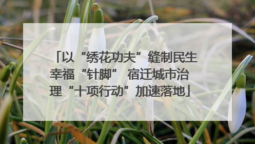 以“绣花功夫”缝制民生幸福“针脚” 宿迁城市治理“十项行动”加速落地