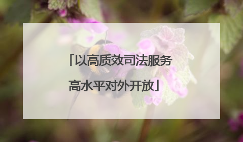 以高质效司法服务高水平对外开放