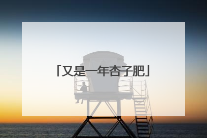 又是一年杏子肥